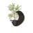 Black Free Form Sandstone Wall art