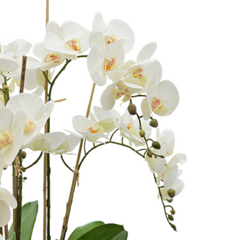 Orchid Arrangement in Round Fiberstone Pot