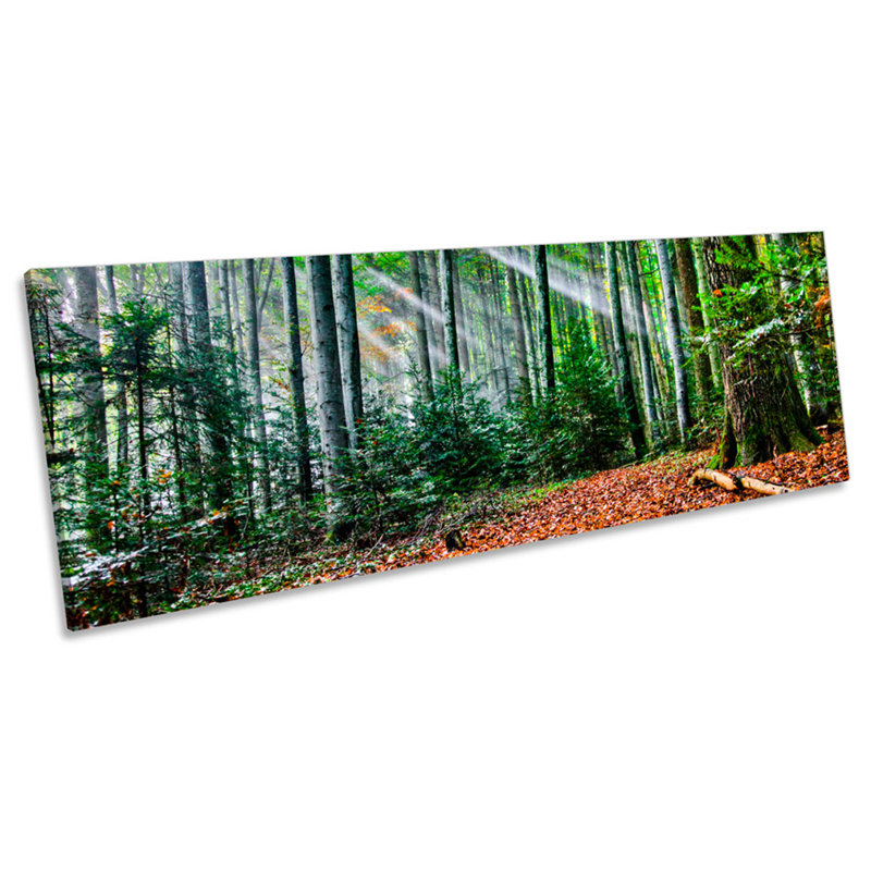 Forest Landscape Sunset Rays - Wrapped Canvas Panoramic Art Prints, 60.96cm H x 182.88cm W x 4cm D