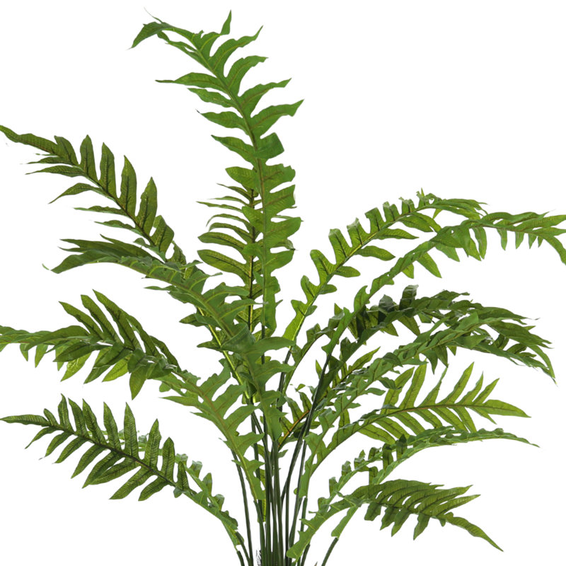 Ridgewood Faux Fern Plant in Fiberstone Planter