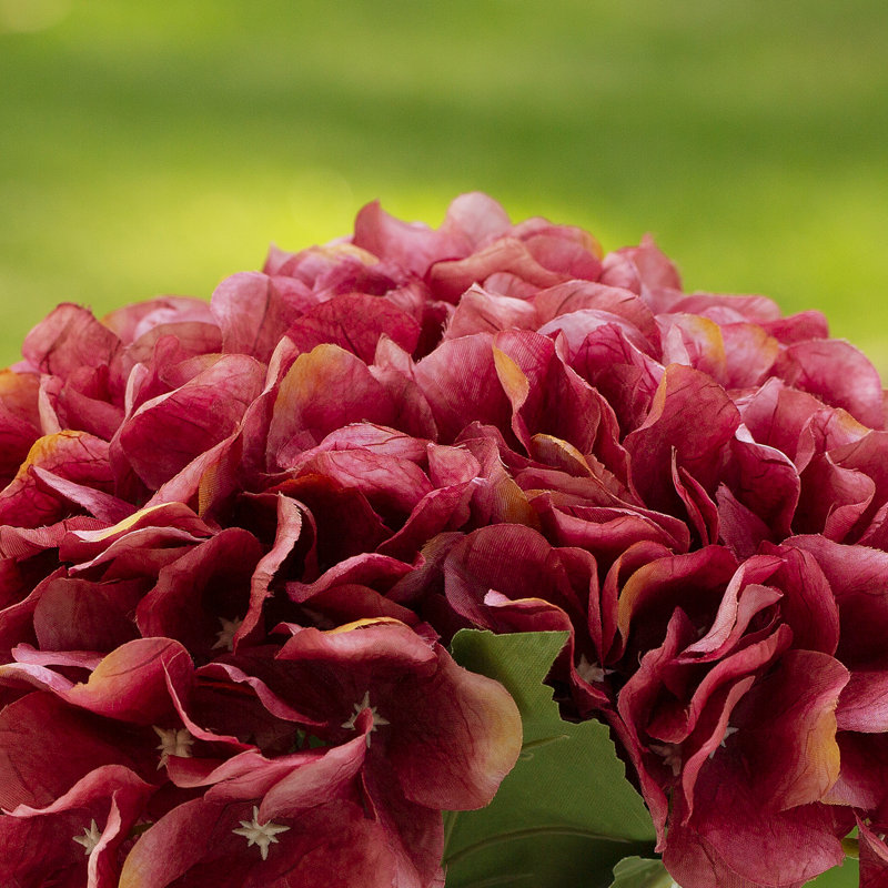 Arrangement floral d'hortensias dans un vase, Fuchsia