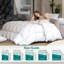 Édredon en duvet d'oie avec housse de couette silencieuse ultra douce et confortable toutes saisons avec housse en coton égyptien, édredon moelleux et chaud-123491521