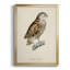 «French Owls I», impression sur papier-1832934063-1832933971