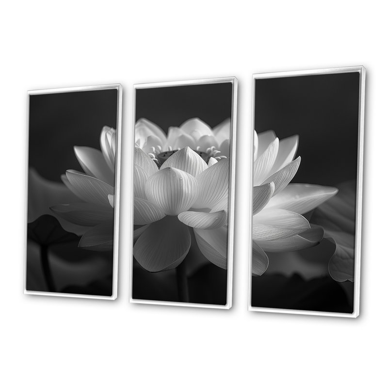Gassaway - lotus, reproduction d'art mural, Toile encadrée flottée blanche, H 28 po x l 36 po x P 1 po