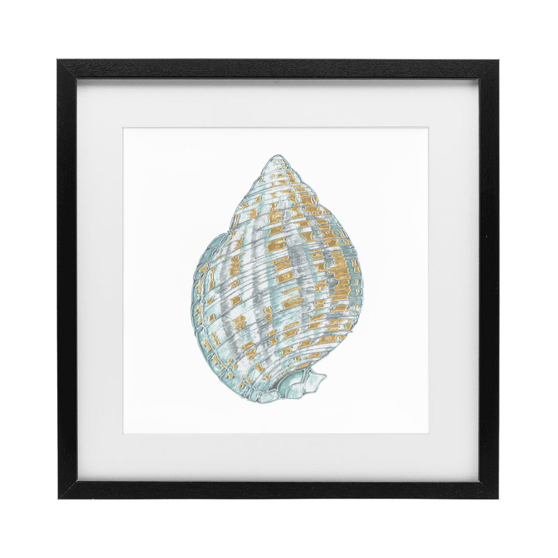 Coquilles de Regal, reproduction sous verre encadrée, conception par Lorenzo Collective, H 13 po x l 13 po, Cadre noir minuit