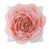 Rose sélectionné