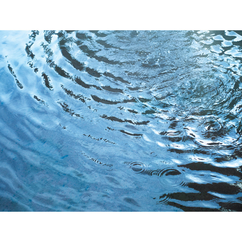 Fountain Print by Petra Trimmel, Black Framed Paper, 16" H x 20" W