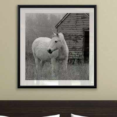 Morning Pasture - reproduction de cadre photo