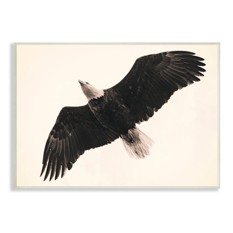 Aigle volant au-dessus d'un oiseau rétro, sépia noir, art numérique de la giclée par Nancy Crowell, H 10 po x l 15 po