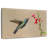 Broad-Billed Hummingbird Drinking Nectar-107887402