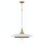 Luminaire suspendu 1 lumière DEL 24 po Welsh-159393295