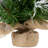 Whitecap Pine Artificial Mini Christmas Tree - 14" - Unlit