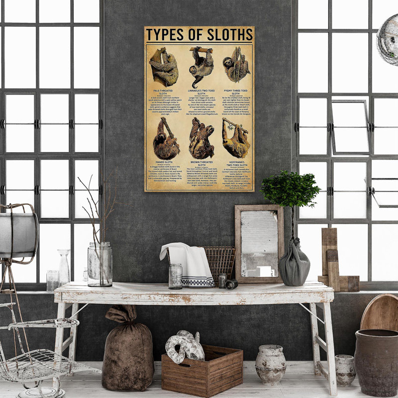Sloth Types Of Sloths - 1 Piece Rectangle Graphic " Sloth Types Of Sloths - 1 Piece Rectangle Graphic Art Print On Wrapped Canvas "