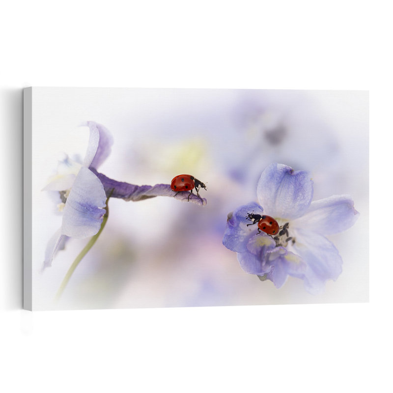 Ladybugs On Lavender Delicate Contemporary Ladybug Lavender Flower Nature Wall Art Print by Ellen van Deelen - 1 Piece Wrapped Canvas Wall Art
