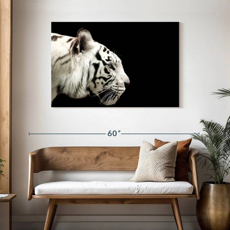 Brampt Curious White Tiger, 30" H x 45" W