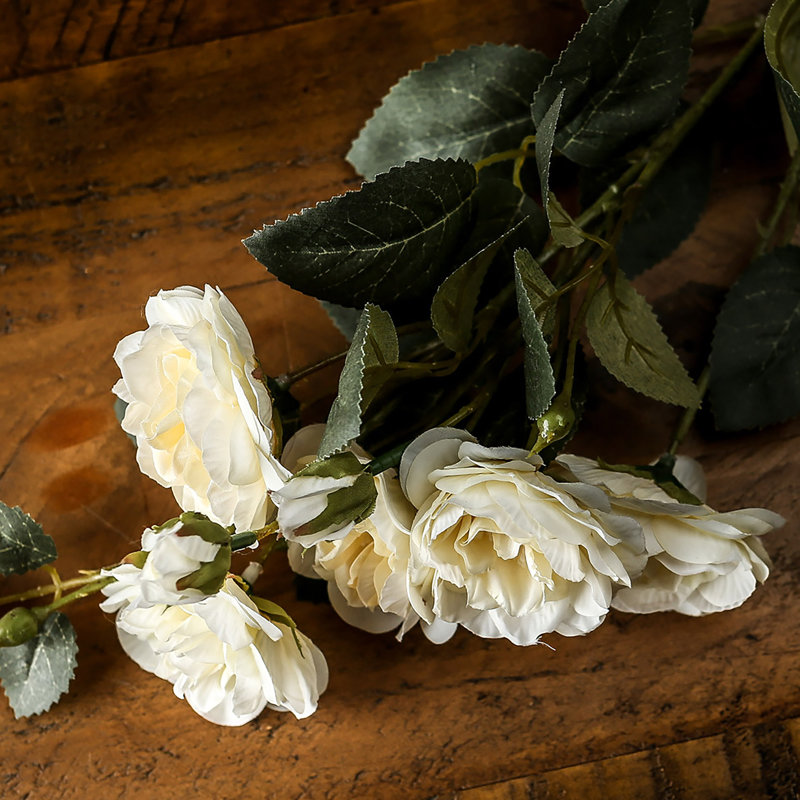 Anastasija Arrangement
