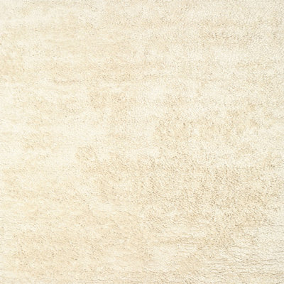 Indoor Rug