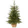 Belson 3' Lighted Spruce Christmas Tree