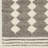 Jamere Performance Indoor Rug-71045024