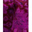 Tapis unique noué à la main Fine Vibrance - rose, 9 pi 3 po x 12 pi 5 po