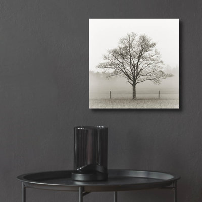 «Winter Tree, Cades Cove» par Nicholas Bell, photographie