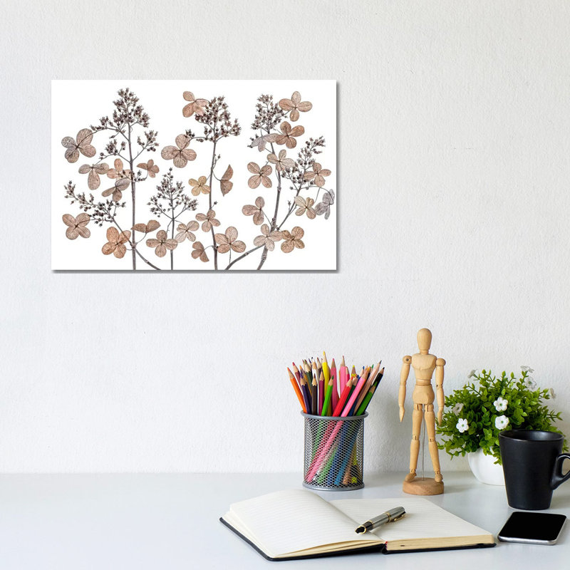 Hydrangea Paniculata 1 Piece Wrapped Canvas Painting, 20.32 cm H x 30.48 cm W