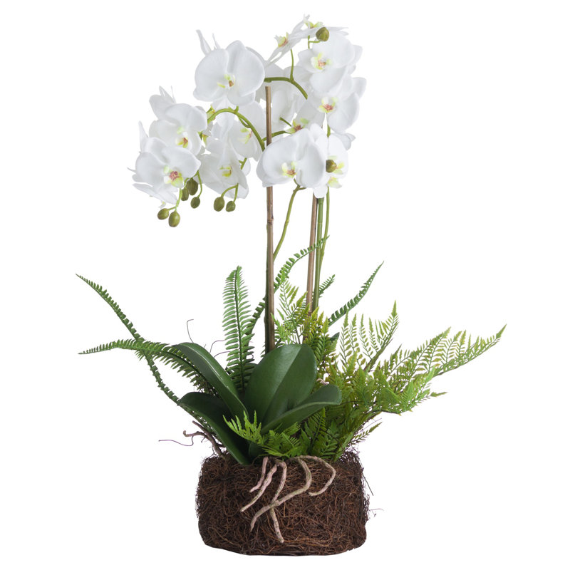 Arrangement