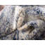 Tapis bleu / beige Carolina-40279087