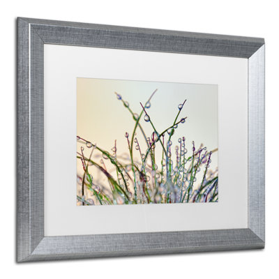 «Dewy Grass», reproduction de photo sur toile encadrée