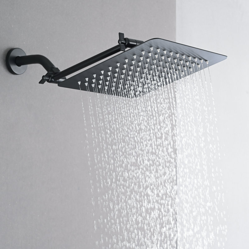 Full/Standard Adjustable Shower Head 2.5 GPM GPM, Black
