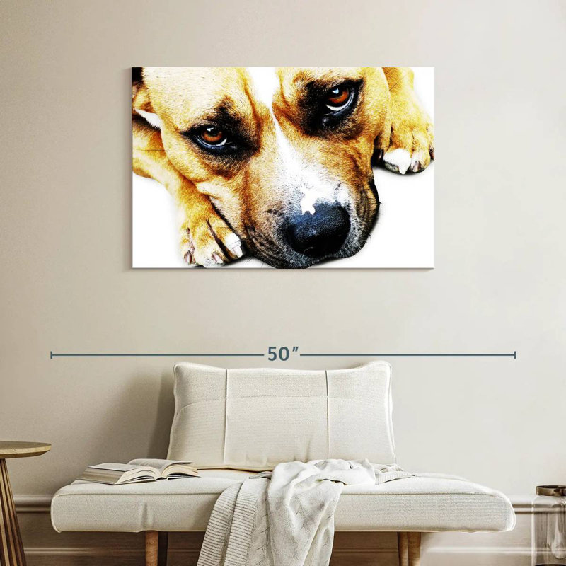 Bull Terrier Eyes, 26" H x 39" W