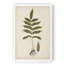 « palm botanique iii »-impression sur toile-654865470-656847912