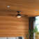 Amiliah 52'' Ceiling Fan with LED Lights