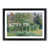 Black Framed selected