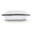 Lyra 100% Cotton Envelope Sham-56206833