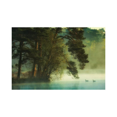 Dutch Fen - Wrapped Canvas Print