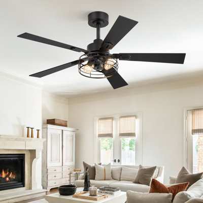 Cissline 48" Black Industrial Caged Ceiling Fnas with Light Kit and Remote for Bedroom