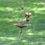 Ensemble de 6 mangeoires d'oiseaux décoratives pour parasol