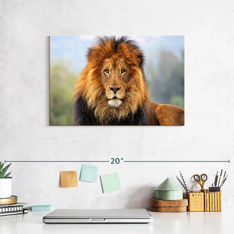 Proud Lion Canvas Print, 8" H x 12" W x 1" D
