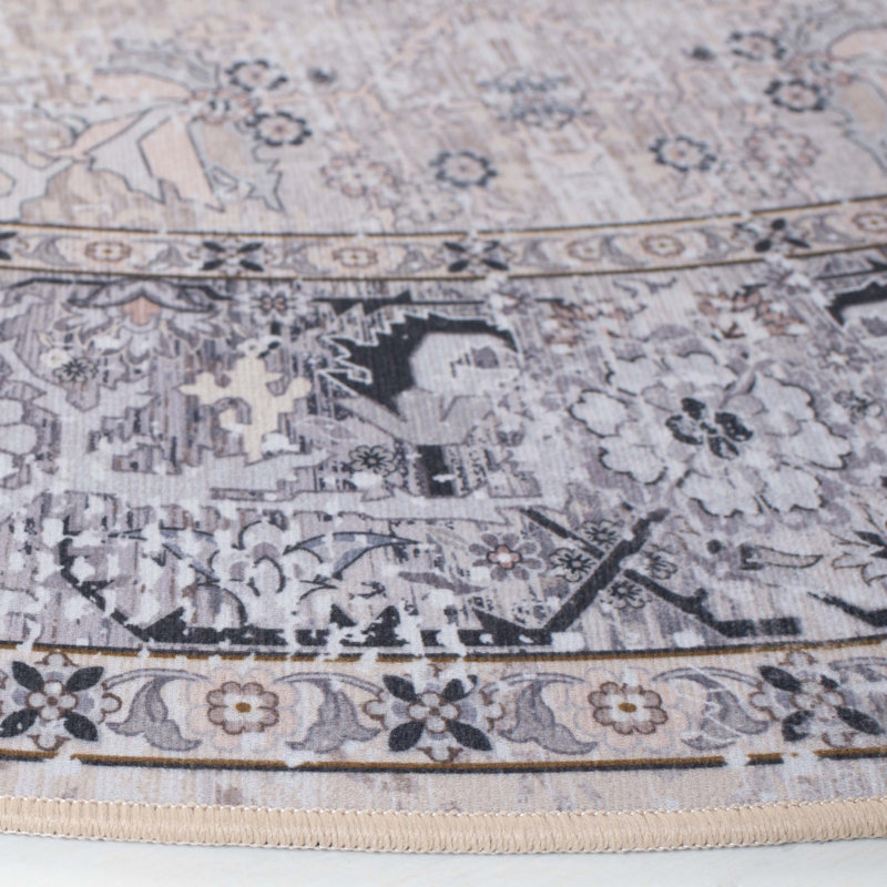 Pashen Performance Machine Washable Oriental Rug, Rectangle 6' x 9'