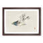 Herring Gull by Kono Baireir - Picture Frame Painting Print-55763065-55763060