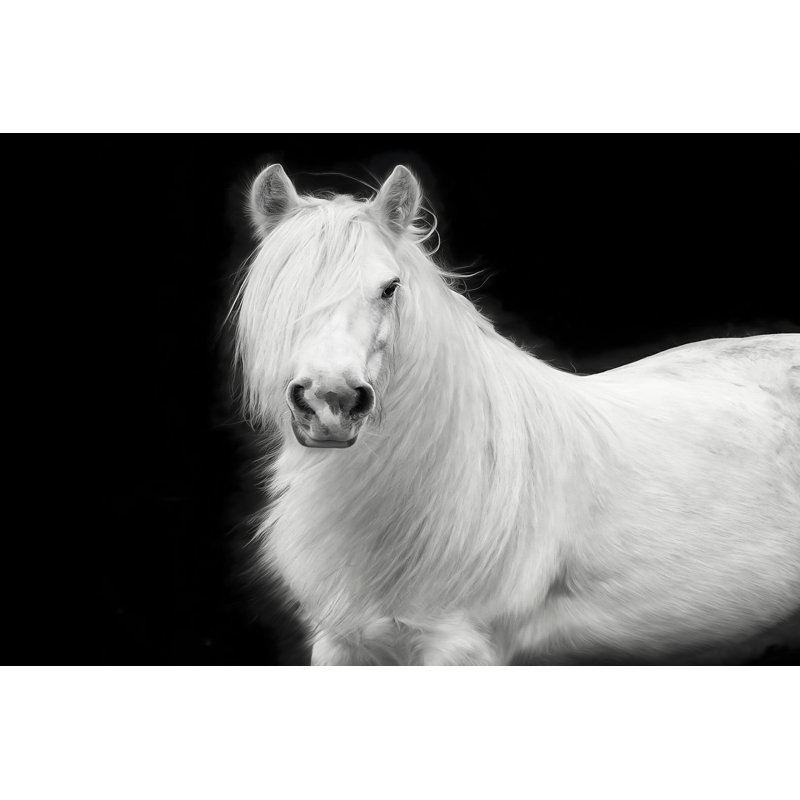 «Equine Portrait V» par PHBurchett - Photographie sur toile tendue, H 24 po x l 36 po