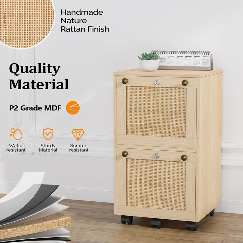 Aristeidis 15.75'' Wide 2 -Drawer Mobile File Cabinet