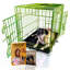Caisse pour animaux-213544325-221677258
