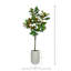 UV Rated 5.5' Magnolia Tree in Weather Resistant Fiberstone Pot