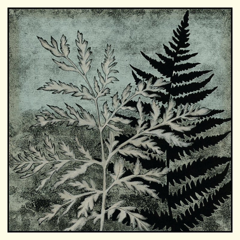 Illuminated Ferns IV by Megan Meagher - Wrapped Canvas Print, 30cm H x 30cm W x 3.8cm D