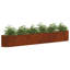 Raised Garden Bed-129231707-129231712