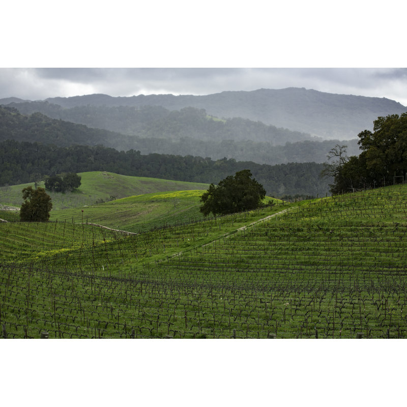 Paysage de Paso Hillside par Tschuma417, H 8 po x l 12 po