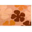 Calypso Floral Hand Woven 200cm X 300cm Area Rug