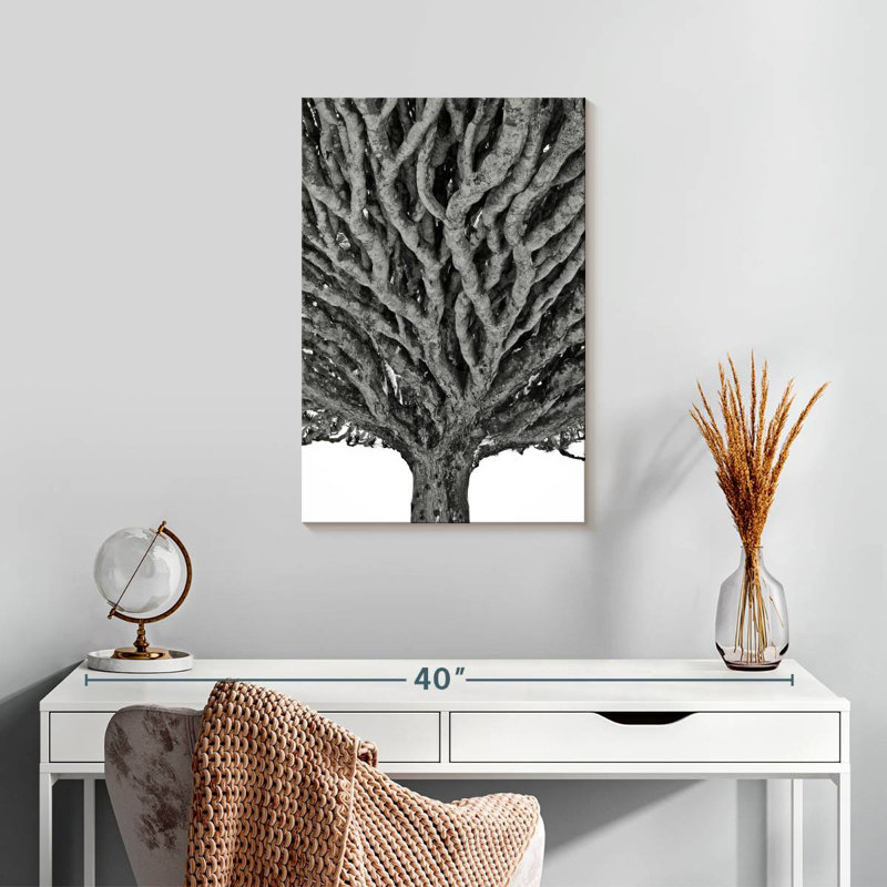 Harnek Monochrome Dragon Tree, 24" H x 16" W